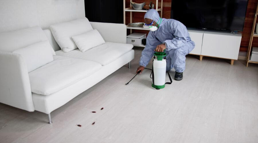 Why choose Restaurant Pest Control Fort Hunt for restaurant pest control in Fort Hunt